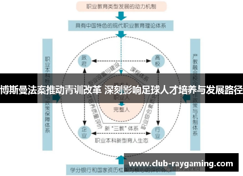 博斯曼法案推动青训改革 深刻影响足球人才培养与发展路径