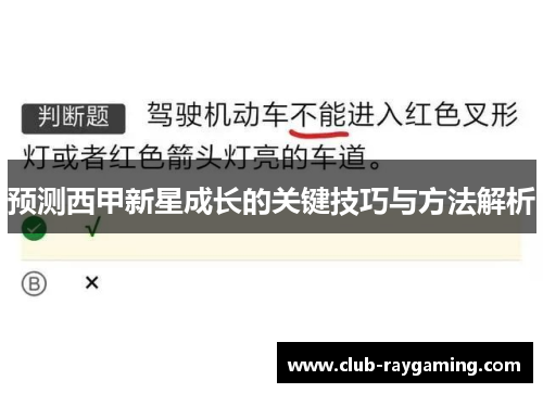 预测西甲新星成长的关键技巧与方法解析